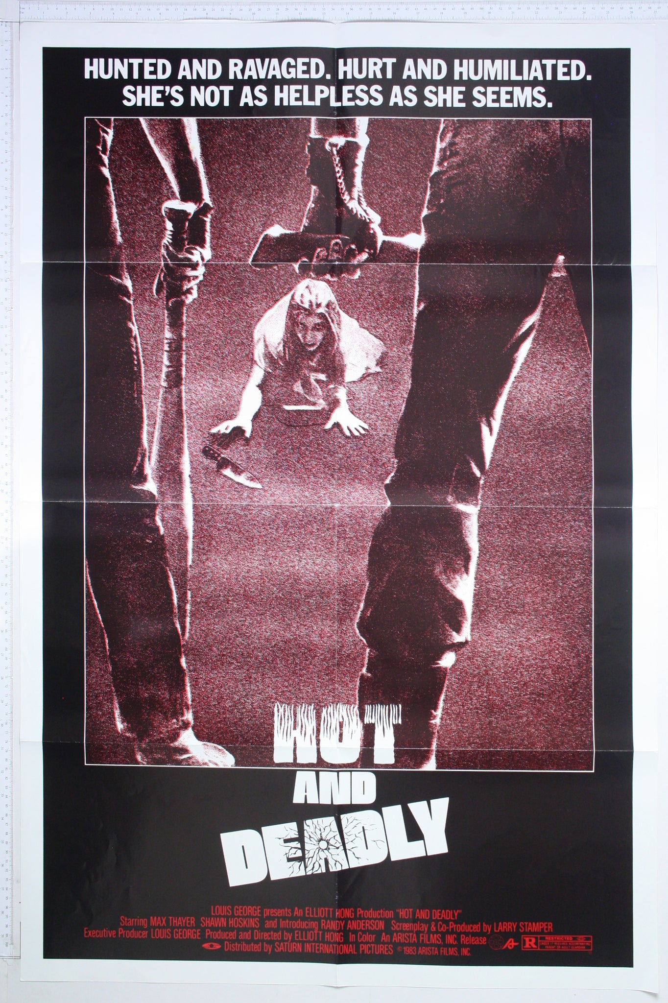 Hot and Deadly (1982 / 1983RR) US 1 Sheet Poster #New