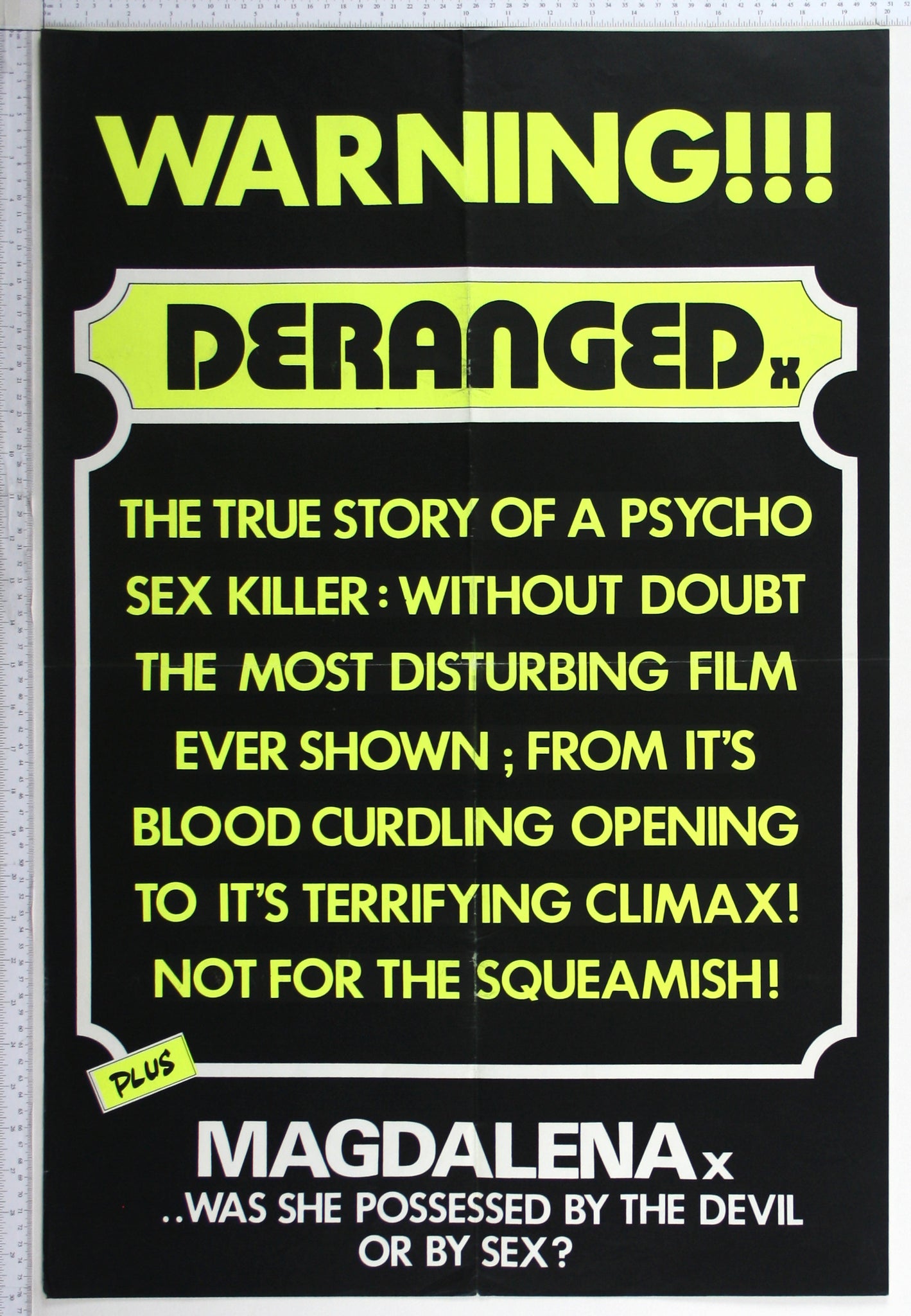 Deranged yellow text warning patrons that it is 'the most disturbing film ever shown'. Magdalena advertised at bottom.