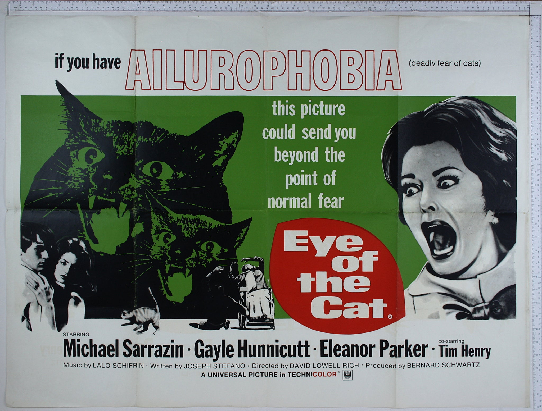 Eye of the Cat (1969) UK Quad Poster #New