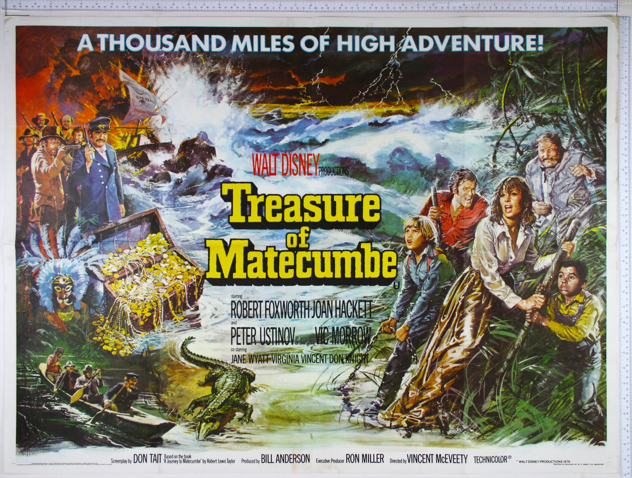 Action packed artwork of sea storm, treasure, pirates, canoes, alligators and the family struggling through jungle.